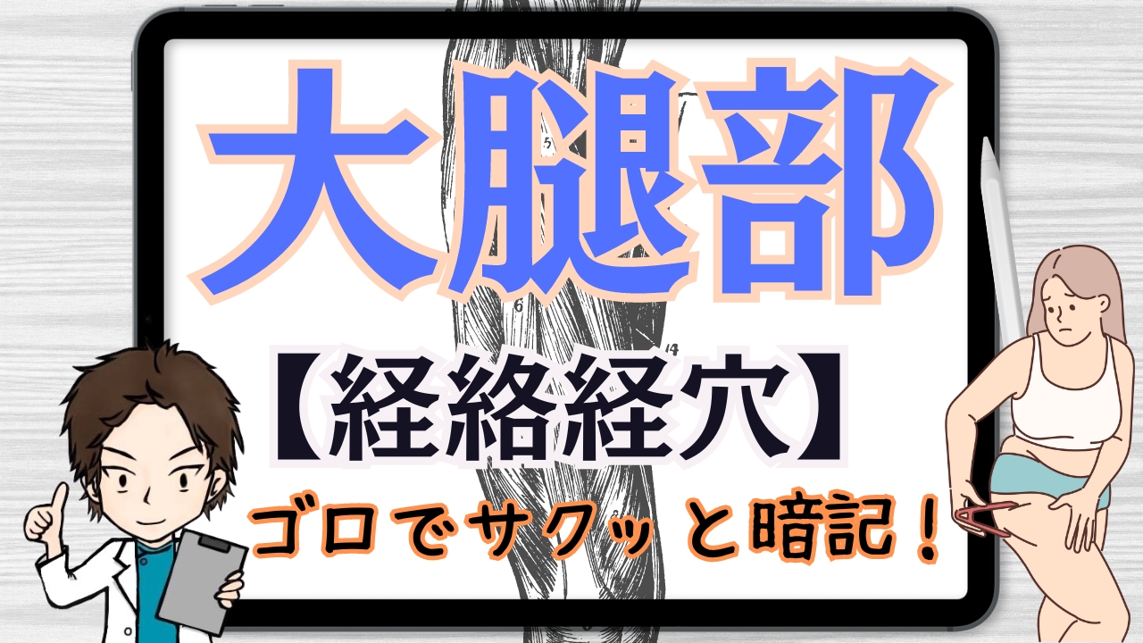 大腿部の経絡経穴のゴロ