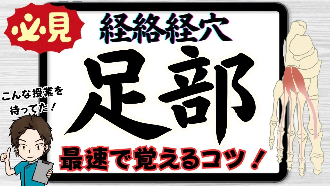 足部の経絡経穴