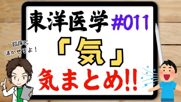東洋医学の気・気の作用とは