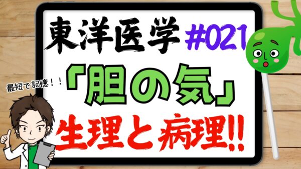 胆の気の生理作用と病理