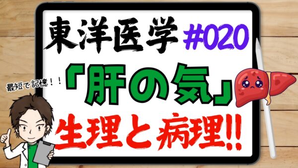肝の気の生理作用と病理