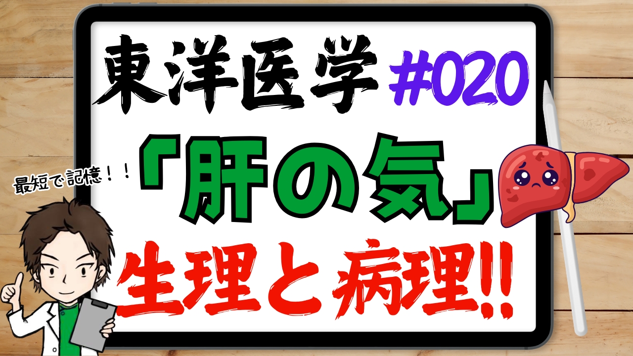 肝の気の生理作用と病理