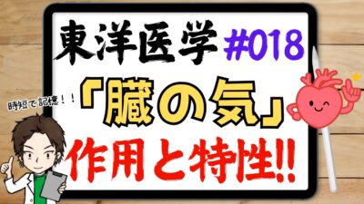 臓腑の気の作用と生理特性