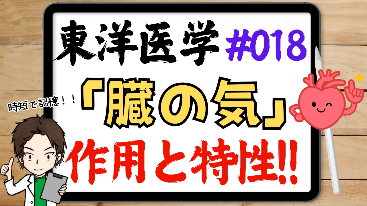 臓腑の気の作用と生理特性