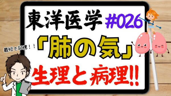 東洋医学的な肺の気の作用と病理