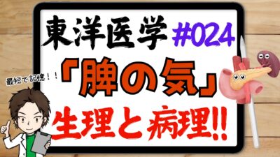東洋医学的な脾の気の作用と病理