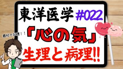 東洋医学的な心の気の作用と病理