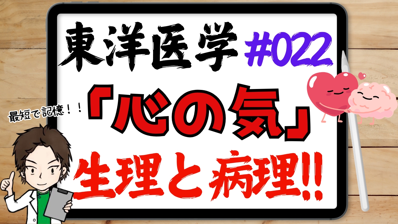 東洋医学的な心の気の作用と病理