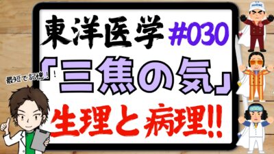 三焦の生理・病理