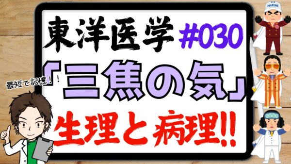 三焦の生理・病理