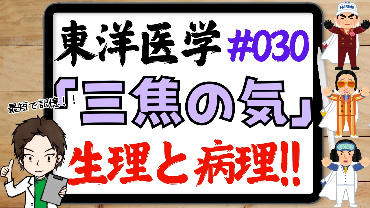 三焦の生理・病理